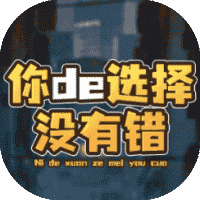 你的选择没有错-免广告